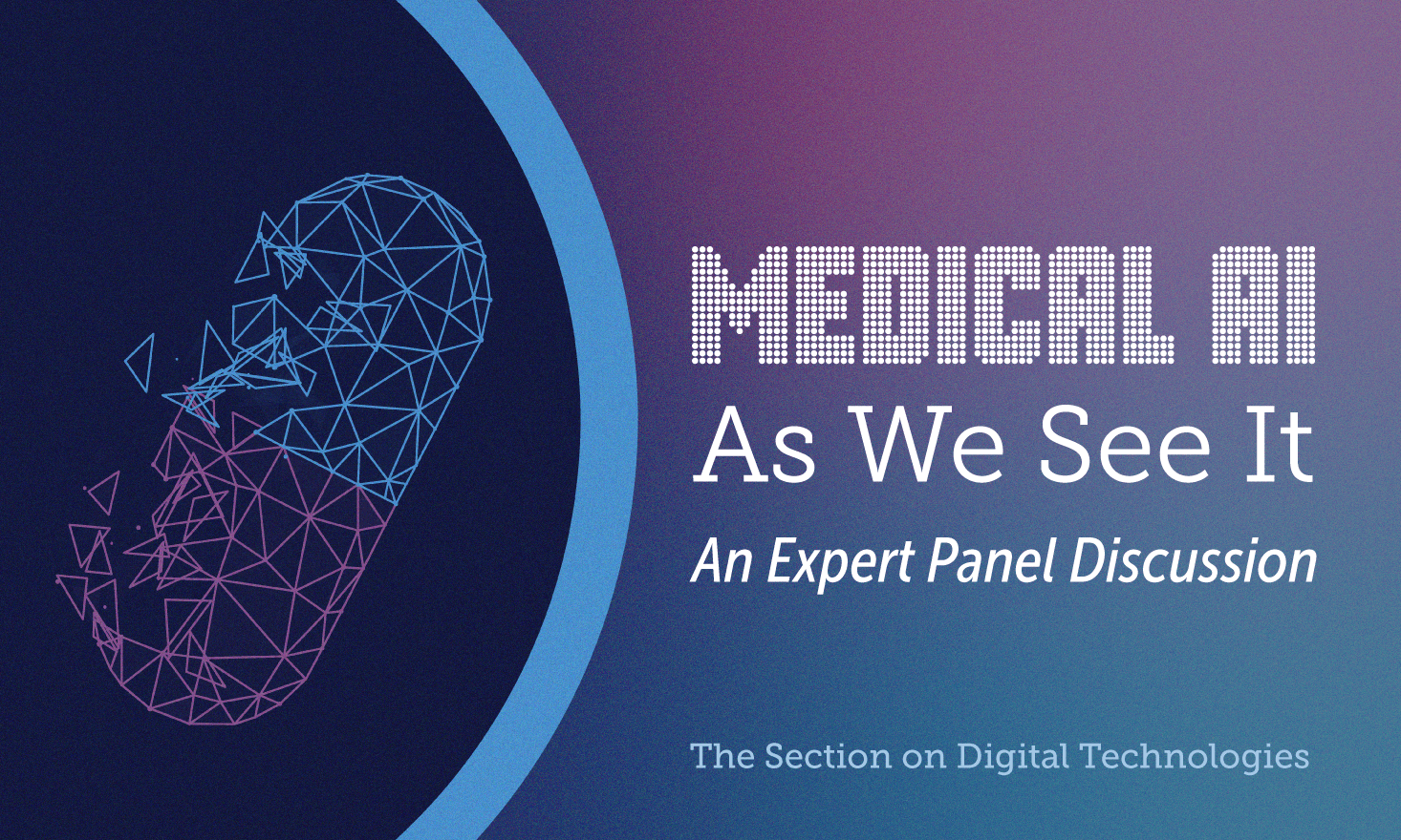 Medical AI As We See It: An Expert Panel Discussion, The Section on Digital Technologies