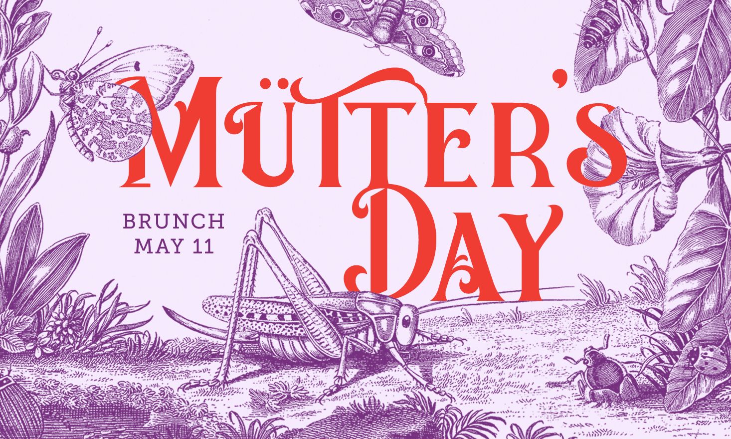 Red text that reads "Mütter's Day" on purple background with butterflies